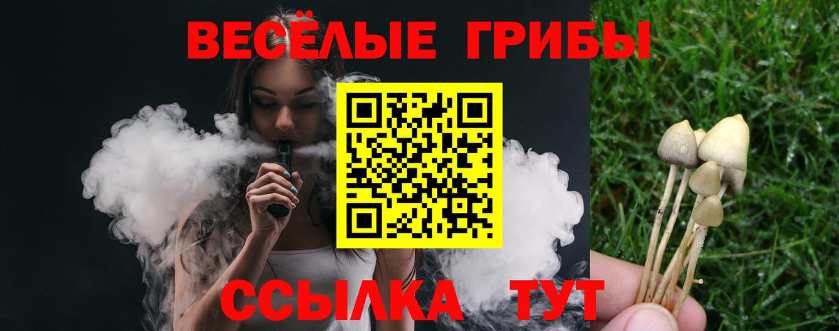 Псилоцибиновые грибы Psilocybe  Вход с VPN  Артём 